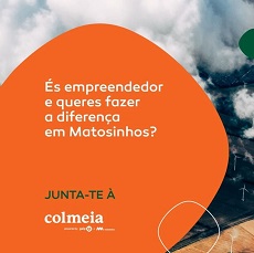 IAPMEI – Programa Colmeia | Candidaturas abertas para startups de Matosinhos